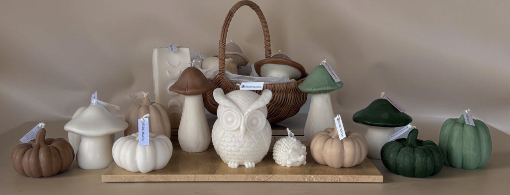 Cozy Nights - FALL COLLECTION 2025