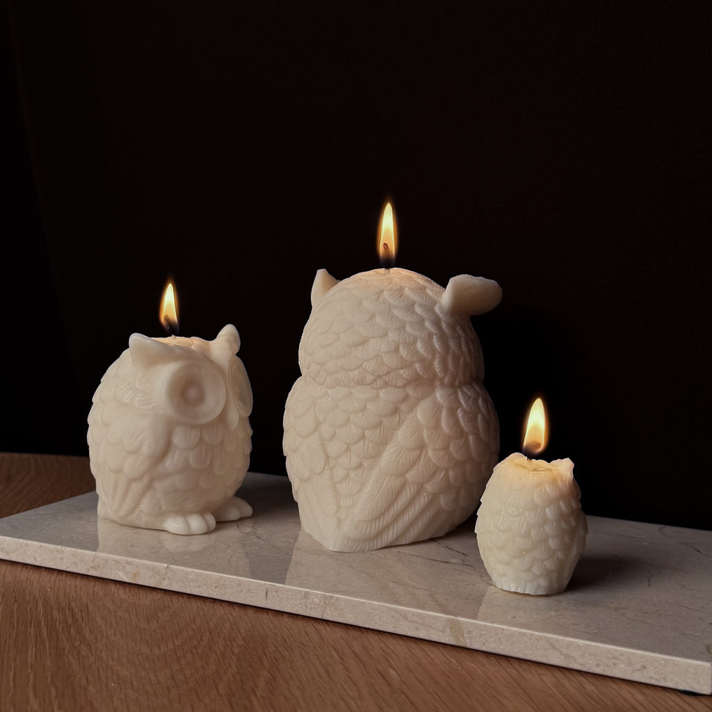 Eulenkerze, Dekorative Kerze, EARL Kerze, Herbstdekor, Geschenk für Tierliebhaber, atmosphärische Beleuchtung, Studienzimmer Dekor, Wohnkultur, entspannende Atmosphäre.