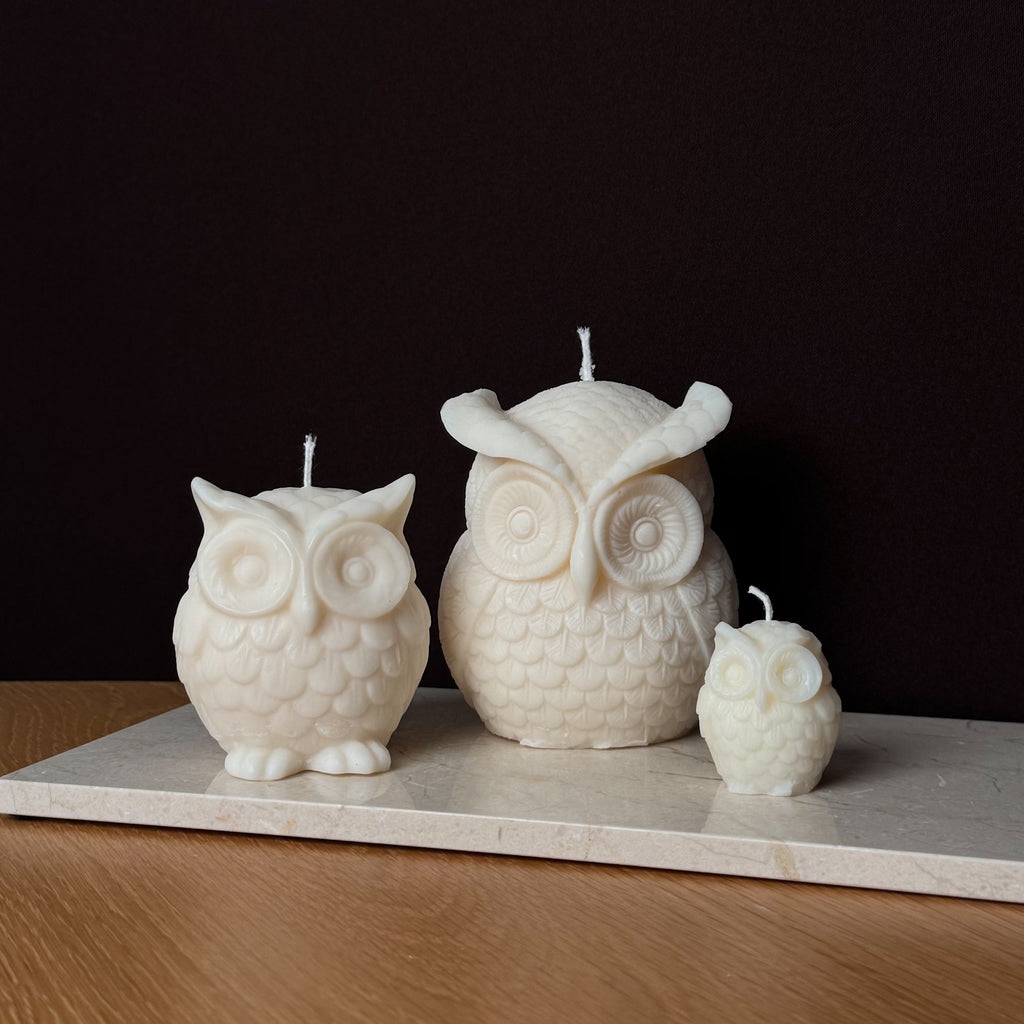Eulenkerze, Dekorative Kerze, EARL Kerze, Herbstdekor, Geschenk für Tierliebhaber, atmosphärische Beleuchtung, Studienzimmer Dekor, Wohnkultur, entspannende Atmosphäre.