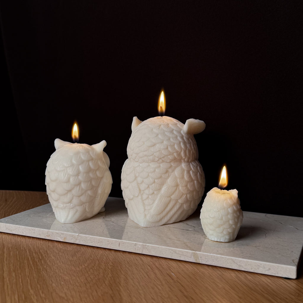 Eulenkerze, Dekorative Kerze, EARL Kerze, Herbstdekor, Geschenk für Tierliebhaber, atmosphärische Beleuchtung, Studienzimmer Dekor, Wohnkultur, entspannende Atmosphäre.