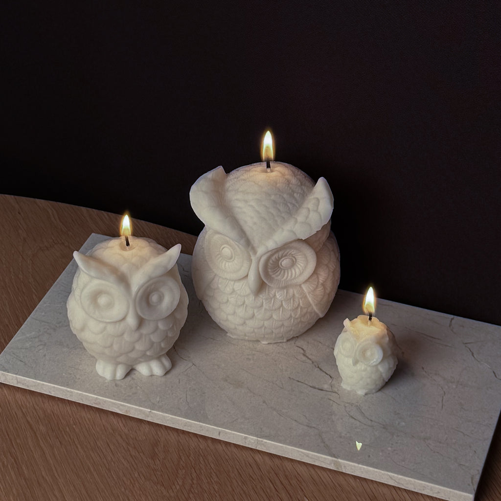 Eulenkerze, Dekorative Kerze, EARL Kerze, Herbstdekor, Geschenk für Tierliebhaber, atmosphärische Beleuchtung, Studienzimmer Dekor, Wohnkultur, entspannende Atmosphäre.
